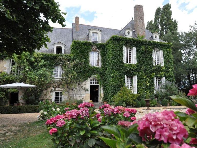 La Marronniere Hotel Cheffes-sur-Sarthe Exterior photo